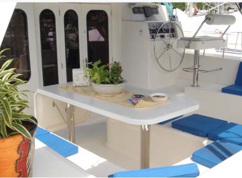 47 Ft Leopard Yacht Rental in Marina Vallarta