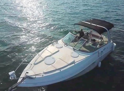 28 Ft Boat Rental in Marina Vallarta
