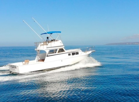 36 Ft Yacht Rental in Marina Vallarta