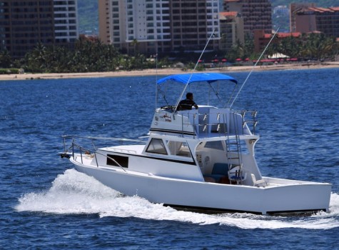36 Ft Yacht Rental in Marina Vallarta