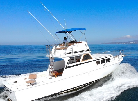 36 Ft Yacht Rental in Marina Vallarta